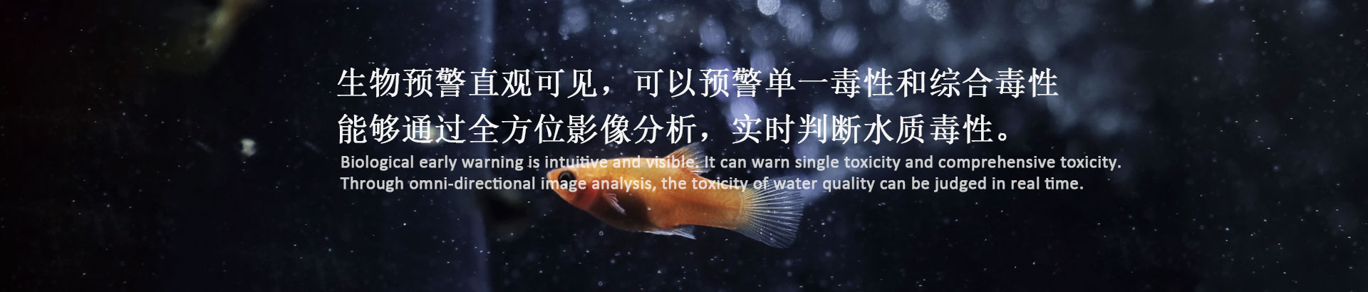 水質(zhì)生物毒性監(jiān)測預警系統(tǒng)